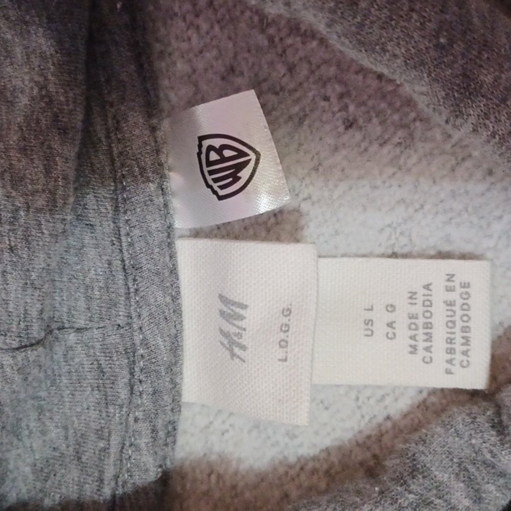 H&M × Warner Bros "Friends" TV Show Logo Hoodie Heather Gray Pouch Pocket Large - Picture 2 of 13